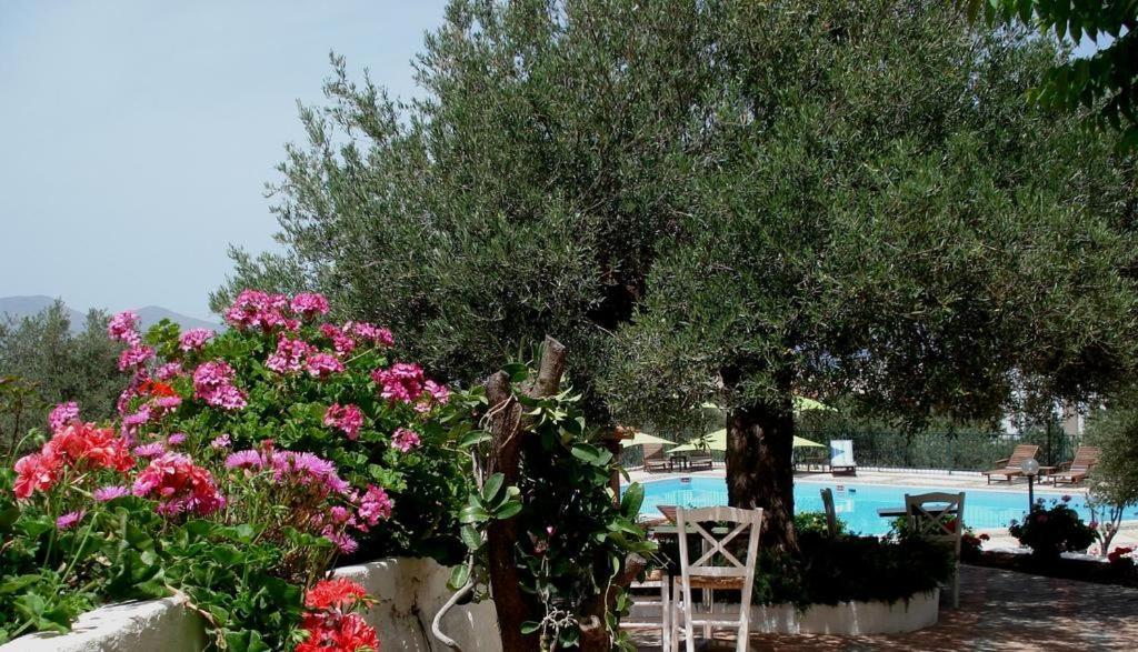 Katerina Charming Place Amoudara  Luaran gambar