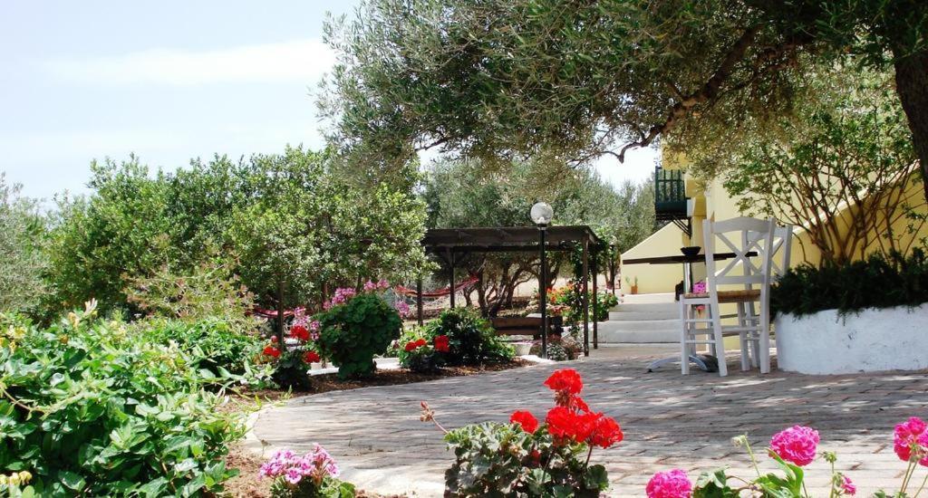 Katerina Charming Place Amoudara  Luaran gambar