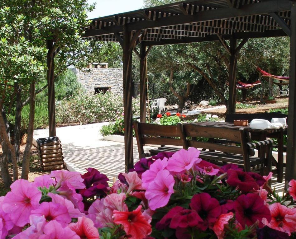 Katerina Charming Place Amoudara  Luaran gambar